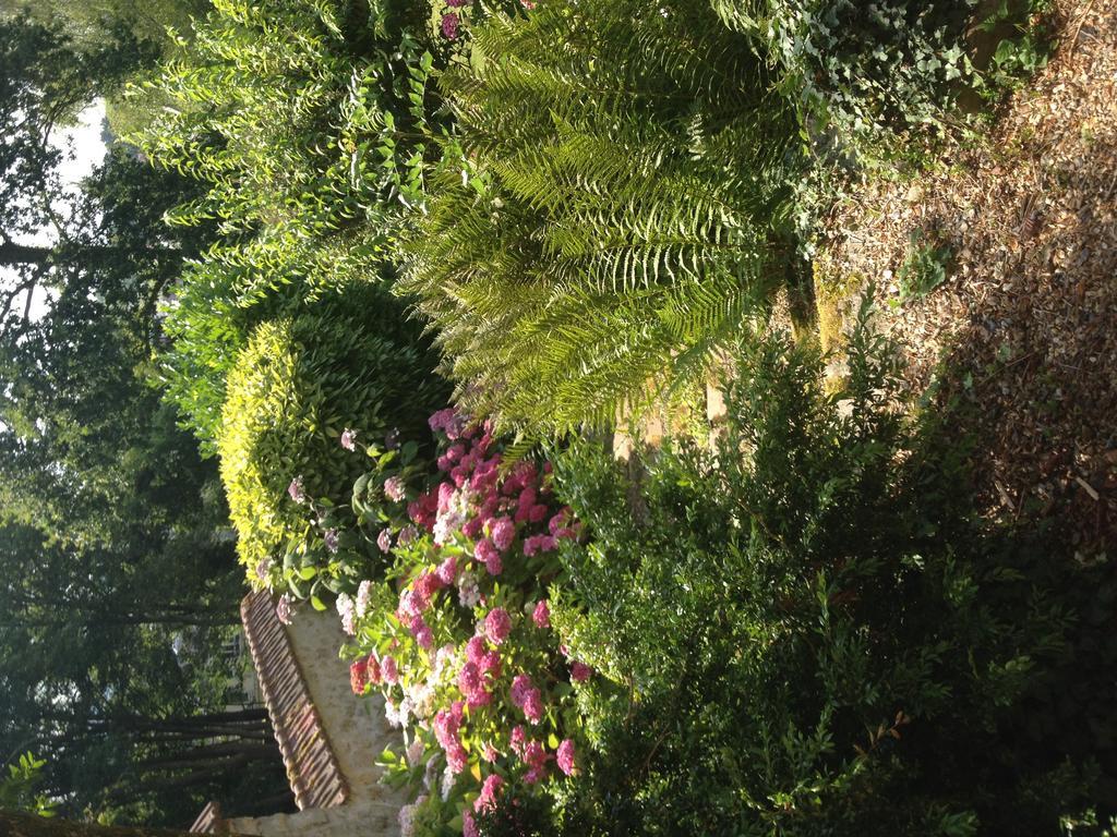 Les Hortensias Clermont  Buitenkant foto